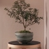 1geun_600g