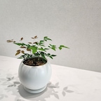 고운일상님의 프로필 이미지
