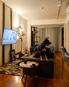 my_osaka_home님의 프로필 이미지