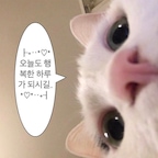 고요달님의 프로필 이미지