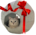 작성자 이미지