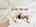 솔직한리뷰그램