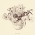 ari_home