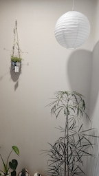 hosooah님의 프로필 이미지