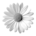 욤이집