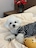Okdol_home