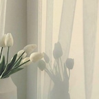 연이네_님의 프로필 이미지