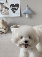 bbd.home님의 프로필 이미지