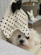 for_pogeun님의 프로필 이미지