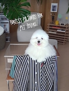 크레네zip님의 프로필 이미지
