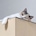 yulmoo_home