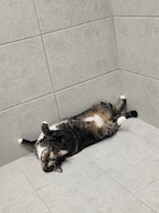 문곰드님의 프로필 이미지