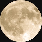 문나잇_moonnight님의 프로필 이미지