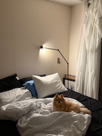 daily_0home님의 프로필 이미지