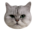 빵야홈