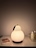 솜사탕투