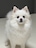 지름이의일상