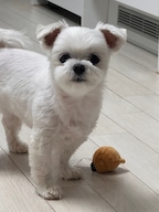 _미래님의 프로필 이미지