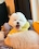 작성자 이미지
