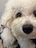 Louine_zip