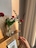 민양지home