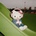 작성자 이미지