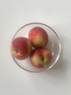 younnghaus님의 프로필 이미지