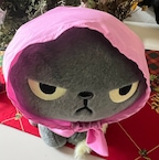 __으니님의 프로필 이미지