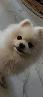 하리키키님의 프로필 이미지