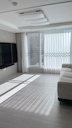 아바타 사진