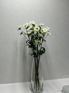 zzimzzi님의 프로필 이미지