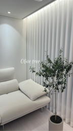 kkomii_home님의 프로필 이미지