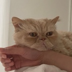뽀글뿌글룽지님의 프로필 이미지