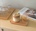 ippi_home