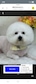 숑숑이하우스