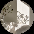 eira.home님의 프로필 이미지