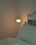 nomoney_zip