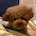 sirune_zip