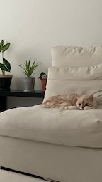 옐로우동동님의 프로필 이미지