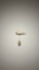 작성자 이미지