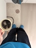 아바타 사진