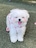 요들하우스