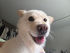 My_buddy님의 프로필 이미지