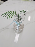 Suyi_home님의 프로필 이미지