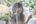 ramilyhome