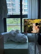 집단추님의 프로필 이미지
