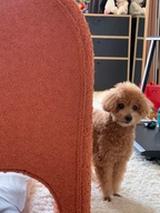SOEUNEDIT소은에딧님의 프로필 이미지