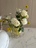 gardeni_i