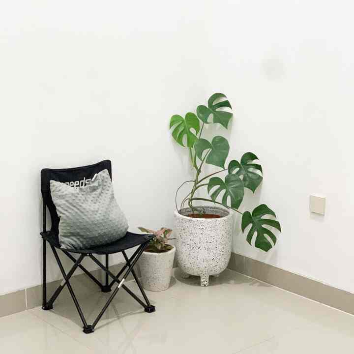 Ruang sudut untuk tanaman saya #livingroom #littleourstory #plants #monstera