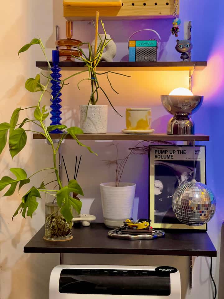 Cozy interior with white walls and shelves featuring various plants and retro objects